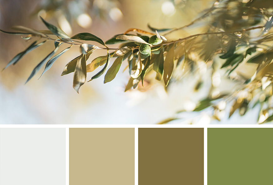 mediterrane einrichtung olivenbaun farbpalette