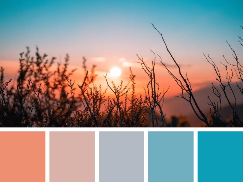 Erstelle eine Farbpalette, die deine Persönlichkeit unterstreicht